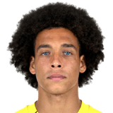 Witsel Axel